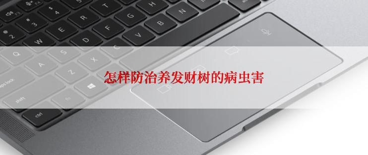 怎样防治养发财树的病虫害