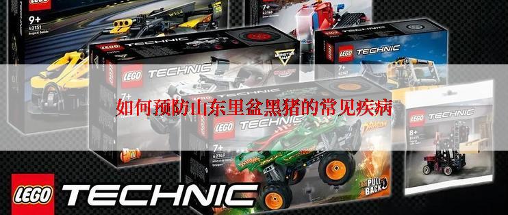 如何预防山东里盆黑猪的常见疾病
