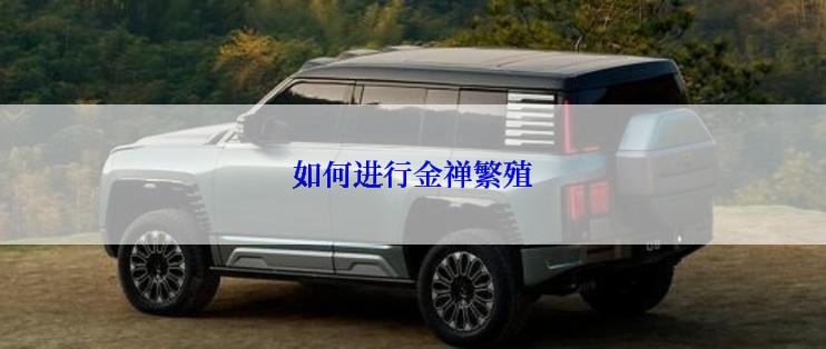 如何进行金禅繁殖