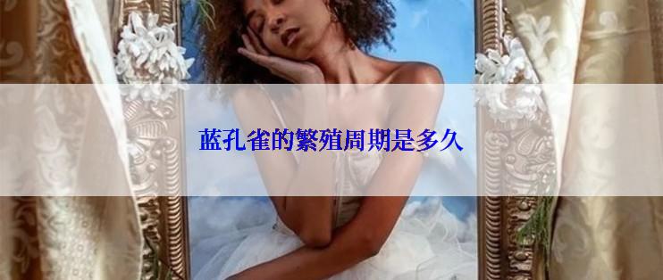 蓝孔雀的繁殖周期是多久