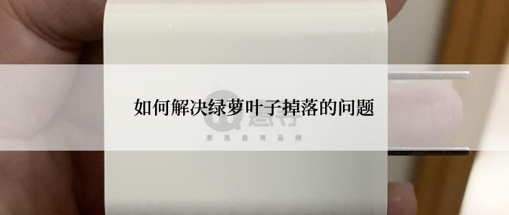 如何解决绿萝叶子掉落的问题
