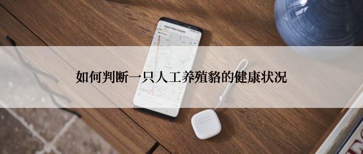 如何判断一只人工养殖貉的健康状况