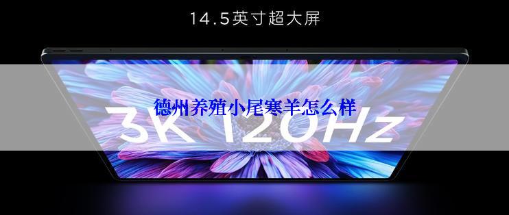 德州养殖小尾寒羊怎么样