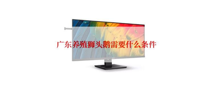 广东养殖狮头鹅需要什么条件