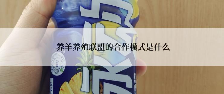  养羊养殖联盟的合作模式是什么