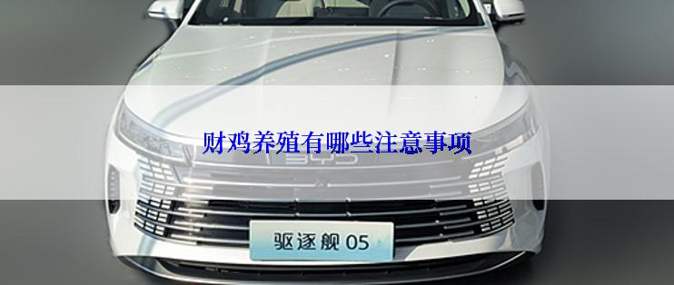 财鸡养殖有哪些注意事项