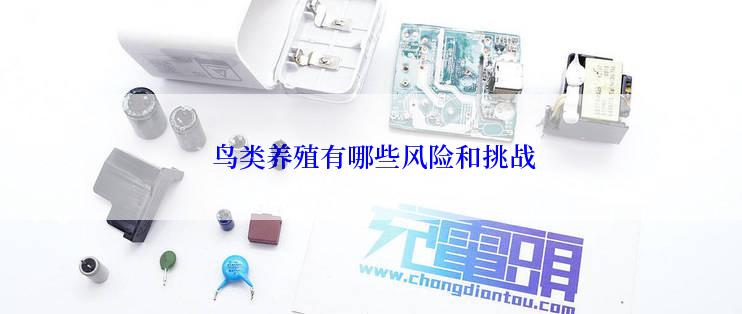  鸟类养殖有哪些风险和挑战