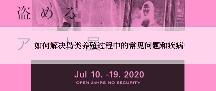  如何解决鸟类养殖过程中的常见问题和疾病