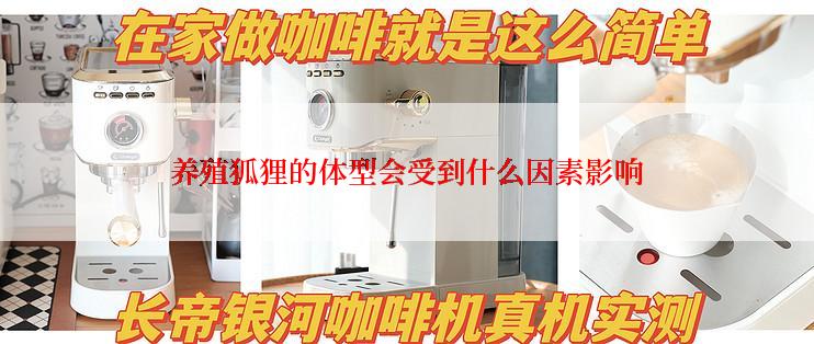 养殖狐狸的体型会受到什么因素影响