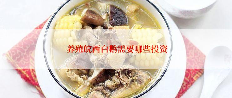 养殖皖西白鹅需要哪些投资