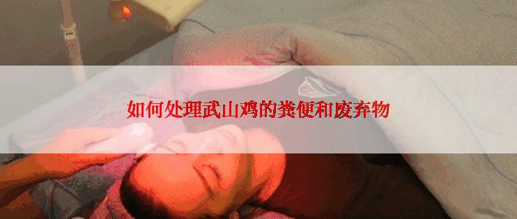 如何处理武山鸡的粪便和废弃物
