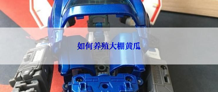 如何养殖大棚黄瓜
