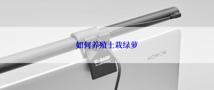 如何养殖土栽绿萝