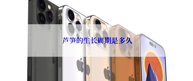 芦笋的生长周期是多久
