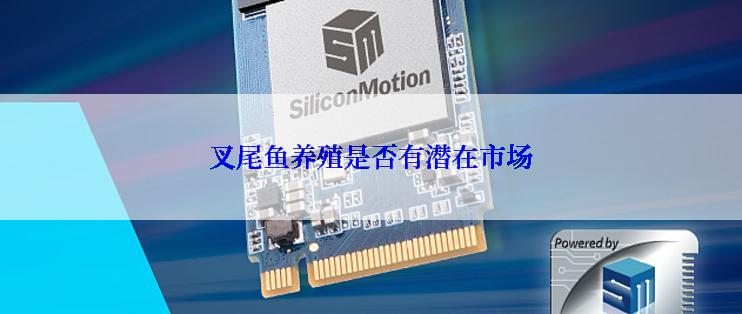 叉尾鱼养殖是否有潜在市场