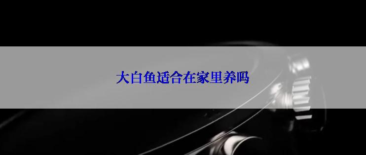 大白鱼适合在家里养吗