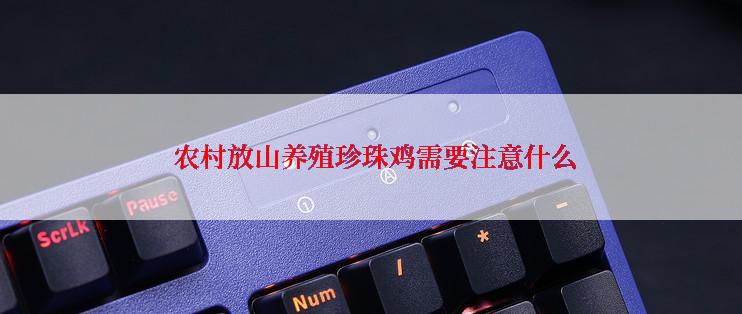  农村放山养殖珍珠鸡需要注意什么