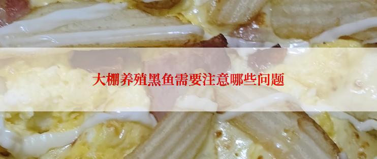 大棚养殖黑鱼需要注意哪些问题