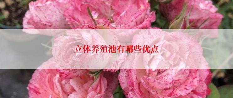 立体养殖池有哪些优点