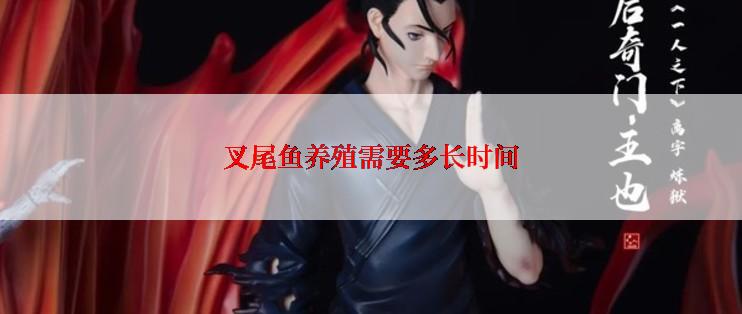 叉尾鱼养殖需要多长时间