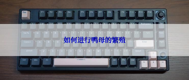 如何进行鸭母的繁殖