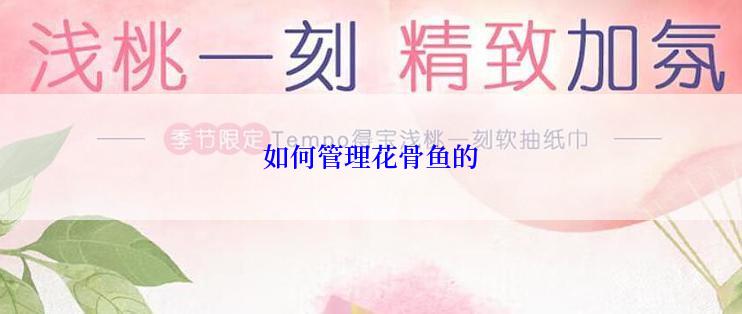 如何管理花骨鱼的
