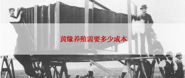  黄缘养殖需要多少成本