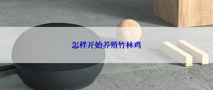 怎样开始养殖竹林鸡