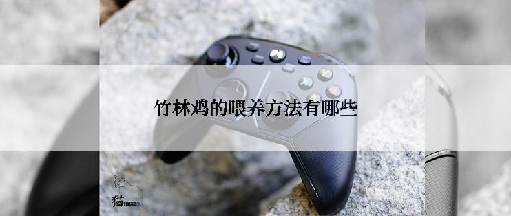 竹林鸡的喂养方法有哪些
