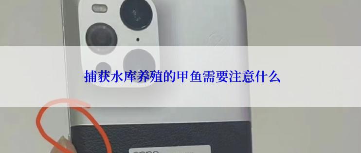  捕获水库养殖的甲鱼需要注意什么