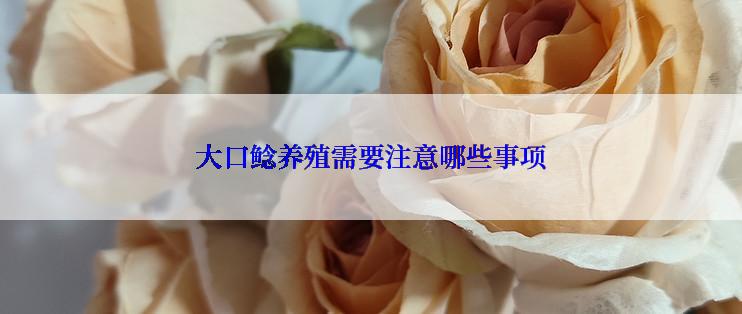大口鲶养殖需要注意哪些事项