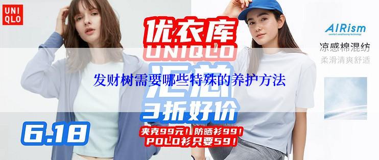发财树需要哪些特殊的养护方法