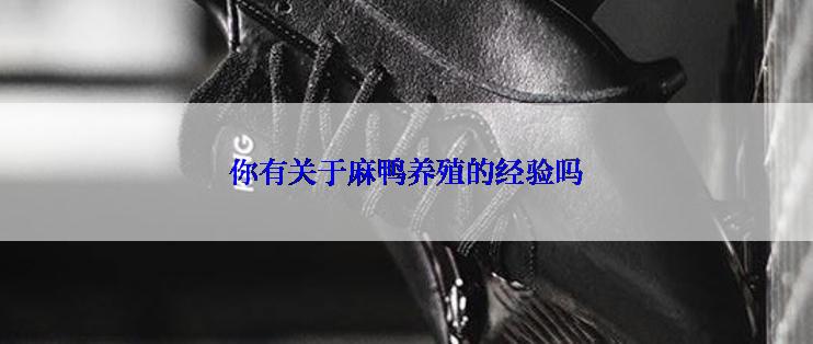 你有关于麻鸭养殖的经验吗