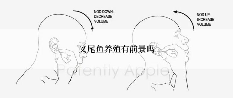 叉尾鱼养殖有前景吗
