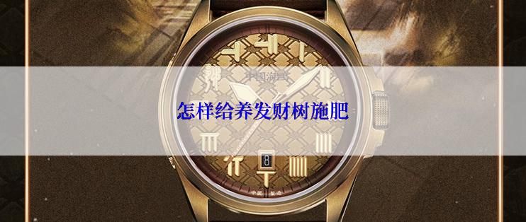 怎样给养发财树施肥