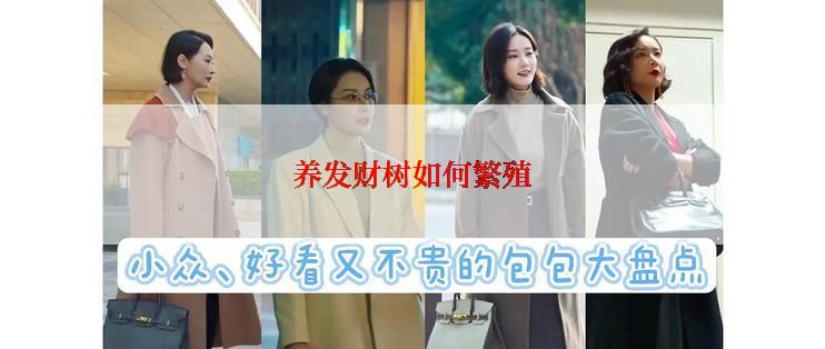 养发财树如何繁殖