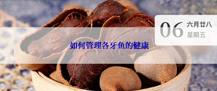  如何管理各牙鱼的健康