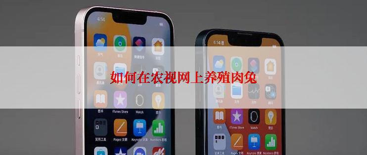 如何在农视网上养殖肉兔