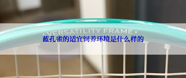 蓝孔雀的适宜饲养环境是什么样的