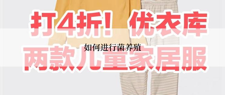 如何进行菌养殖