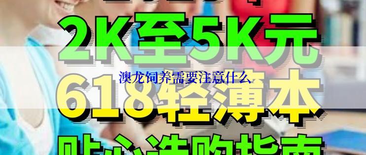  澳龙饲养需要注意什么