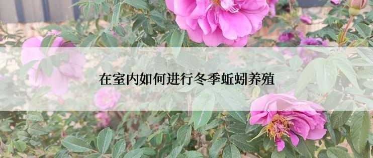 在室内如何进行冬季蚯蚓养殖