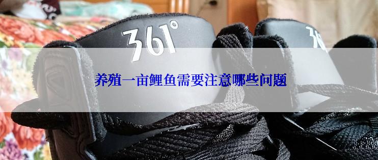  养殖一亩鲤鱼需要注意哪些问题