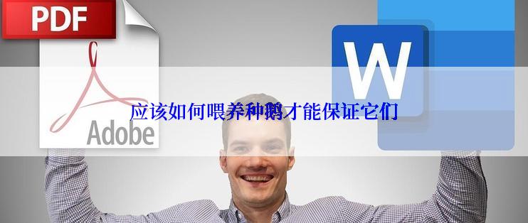 应该如何喂养种鹅才能保证它们