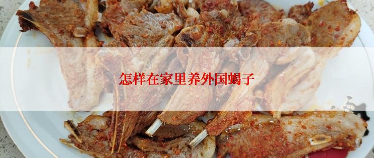 怎样在家里养外国蝎子