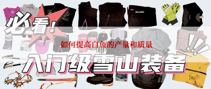  如何提高白鱼的产量和质量