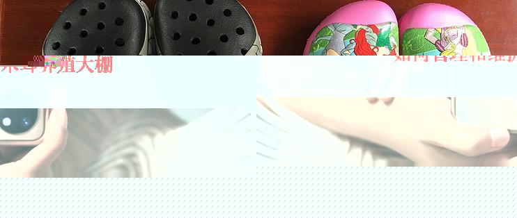 如何管理和维护木耳养殖大棚