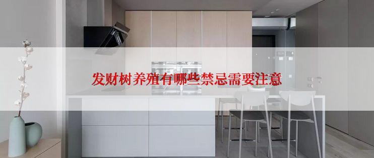 发财树养殖有哪些禁忌需要注意