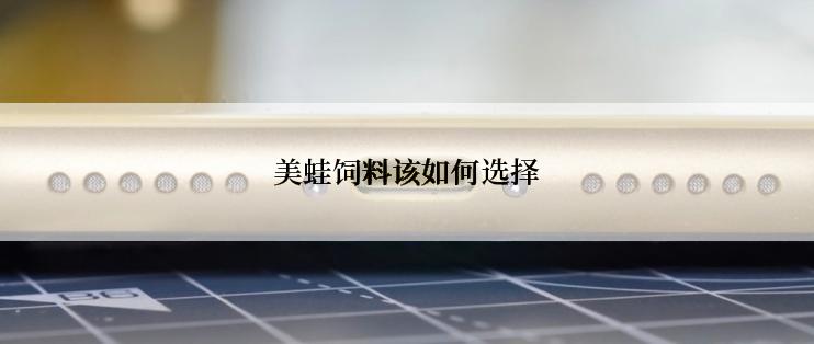 美蛙饲料该如何选择