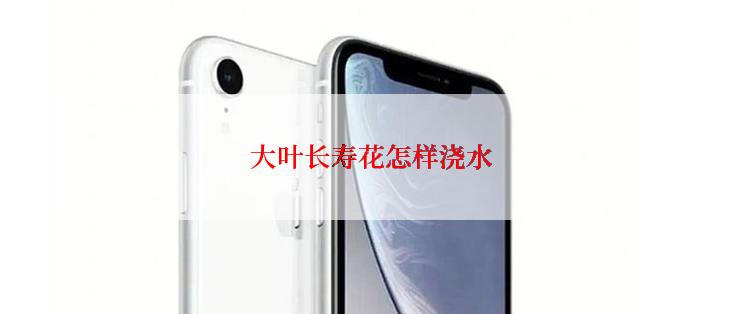 大叶长寿花怎样浇水